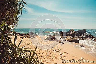 Indian Ocean Coast with stones and pandanus trees. Tropical vacation, holiday background. Deserted with footprints beach. Paradise Stock Photo