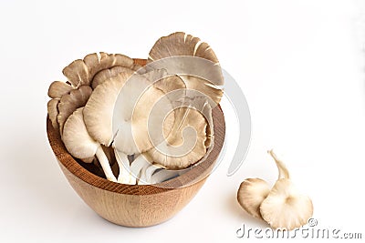 Indian Oyster, Phoenix Mushroom or Lung Oyster. Stock Photo