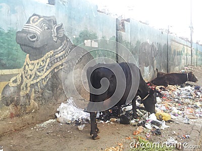 Indian pavement Editorial Stock Photo