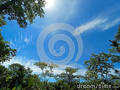 Indian people click blue sky photo Stock Photo