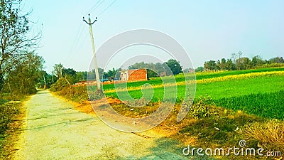 Indian road and house field picture Stock Photo