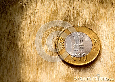 Indian rupee lying on a fur carpet Stock Photo