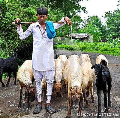 Indian shepherd Editorial Stock Photo