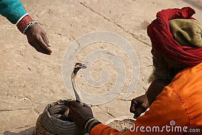 Indian snake charmer Editorial Stock Photo