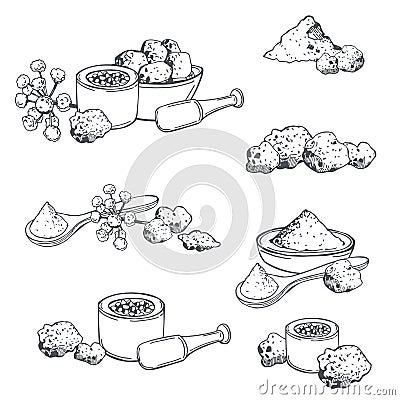 Indian spice asafoetida hing Vector Illustration