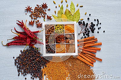 Indian spices and herbs in the box on the gray table: anise, fragrant pepper, cinnamon, nutmeg, bay leaves, paprika Stock Photo
