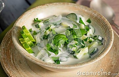 Indian spicy raita sauce with herbs and cucumbers close-up in a bowl on the table Stock Photo