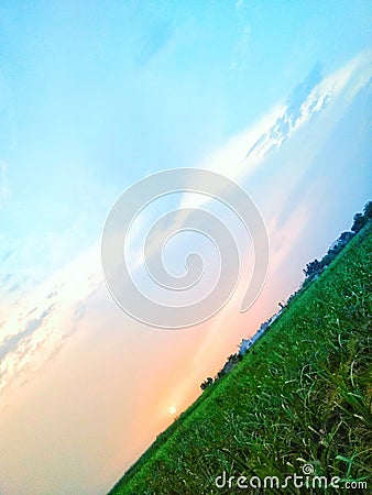 Indian sunset view in sugarcane farm. Stock Photo