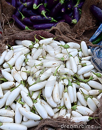 Indian vegetable- White Brinjal Stock Photo