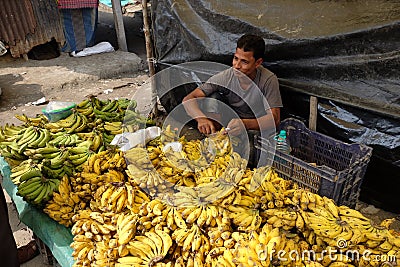 Indian vendor sits at stall filled with green and yellow bananas at Kumrokhali Market, India Editorial Stock Photo