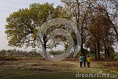 Indian village boys going for playing cricket on summer days Editorial Stock Photo