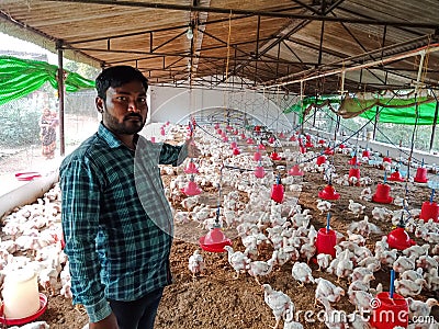 an indian village farmer presenting hen birds around poultry farmhouse area in india dec 2019 Editorial Stock Photo
