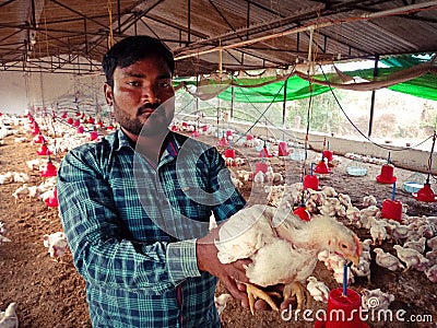 an indian village farmer presenting hen birds around poultry farmhouse area in india dec 2019 Editorial Stock Photo