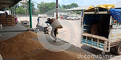 Indian village farmer transporting wheat sack upon head at farmers market Editorial Stock Photo