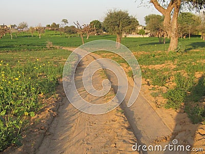 Indian village road Stock Photo