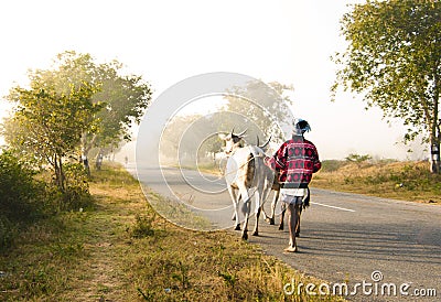 Indian Village Road Editorial Stock Photo