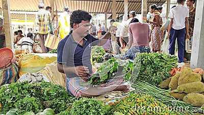 Indian Village Site Market Place, A Man Selling Vezitabile, West Bengal, Daharpur Editorial Stock Photo