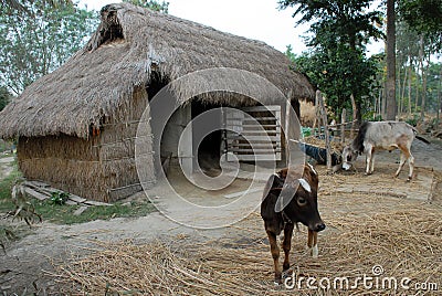 Indian village Editorial Stock Photo