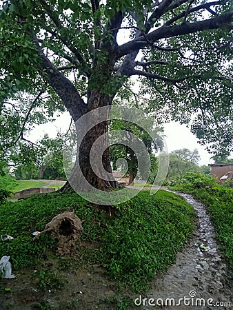 Indian village& x27;s beautiful nature looking home sky Stock Photo