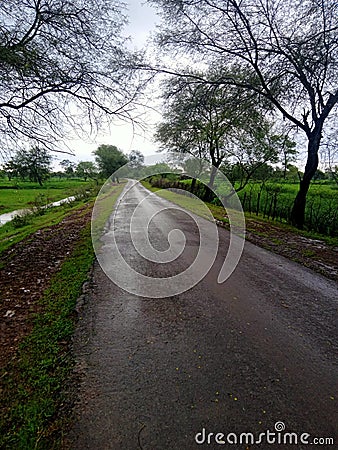 Indian village& x27;s road small water sky Stock Photo