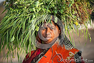 Indian villager woman carrying green grass Stock Photo