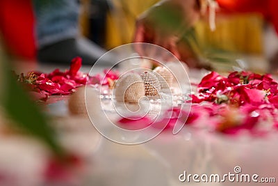 Indian wedding ritual, Maharashtrian Saptapadi on rose petales spread on floor Stock Photo