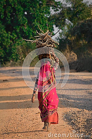 Indian woman carrying wood on head at the road. Editorial Stock Photo