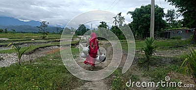 Indian Women Water carried moment Stock Photo