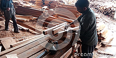 Indian woodworker scaling wood logs at factory for making furniture Editorial Stock Photo