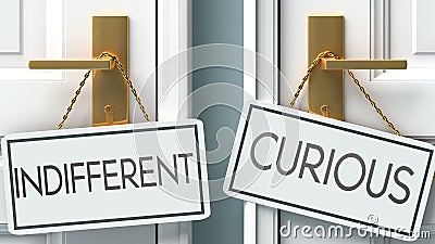 Indifferent and curious as a choice - pictured as words Indifferent, curious on doors to show that Indifferent and curious are Cartoon Illustration