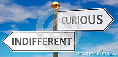 Indifferent and curious as different choices in life - pictured as words Indifferent, curious on road signs pointing at opposite Cartoon Illustration