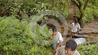 Indigene Menschen Jagen Und Spielen Im Regenwald Des Amazonas Stock Video Video Von Amazonas Ecuador 158985253