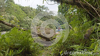 Indigene Menschen Jagen Und Spielen Im Regenwald Des Amazonas Stock Video Video Von Amazonas Ecuador 158985253