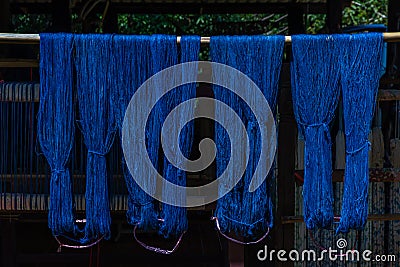 Indigenous Knowledge of thailand. Thai traditional fabric process. Natural Indigo dye cotton fabric after dry under sun Stock Photo