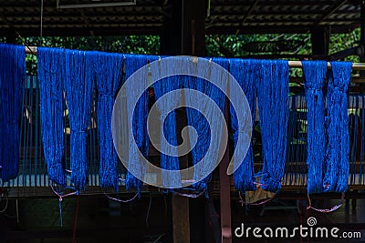 Indigenous Knowledge of thailand. Thai traditional fabric process. Natural Indigo dye cotton fabric after dry under sun. Stock Photo