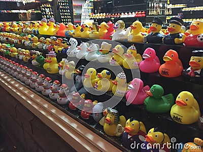 Individual Ducks In Amsterdam Editorial Stock Photo