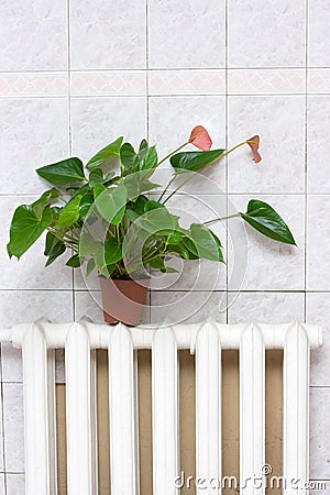 Individual heating concept Stock Photo