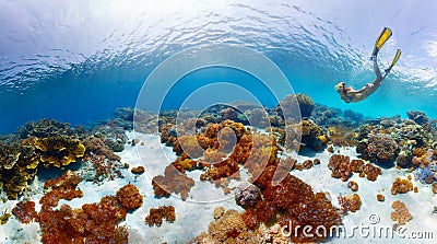 Indonesia Stock Photo