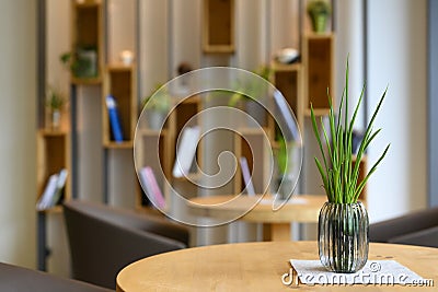 Indoor design with green plant on table and decorated wooden metal bookshelf Stock Photo