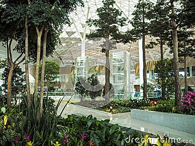 Indoor garden in the terminal 2 of Incheon International Airport Editorial Stock Photo