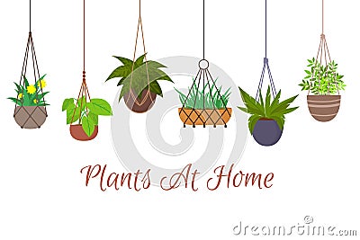 Indoor green plants in pots hanging on decorative macrame hangers vector set Vector Illustration