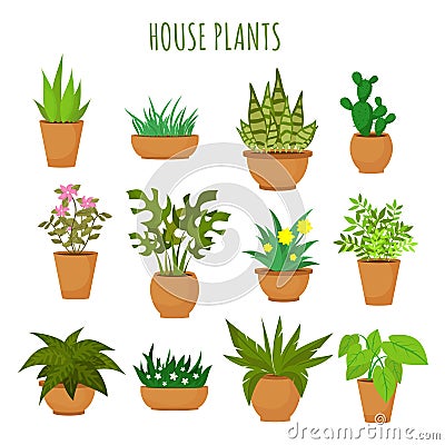Indoor house green plants and flowers isolated on white vector set Vector Illustration