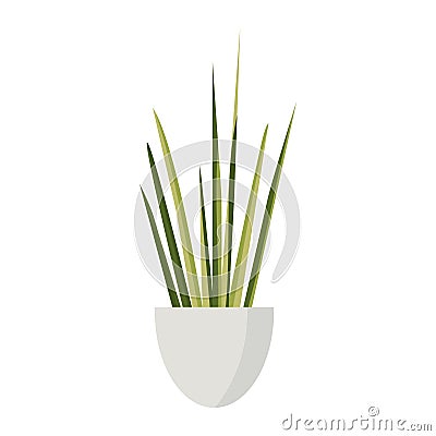 Indoor Houseplant Trifasciata In A Pot Flat Decorative Illustration Vector Illustration