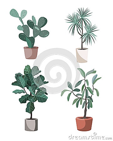 Indoor houseplants vector. Potted home plants illustration. Stylish greenery in pots for the flat design interior Vector Illustration