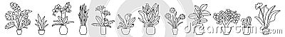 Indoor plant in a pot. Black and white sketch collecton. Vector doodle line illustration set. Monstera, philodendron, scarlet, Vector Illustration