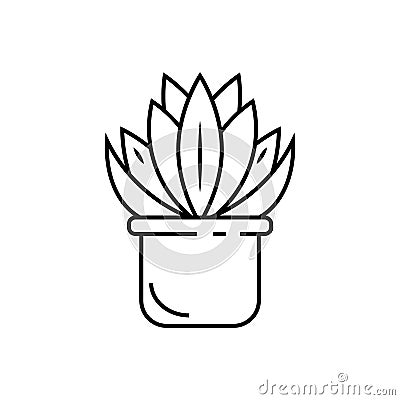 Indoor plant vector icon Vector Illustration