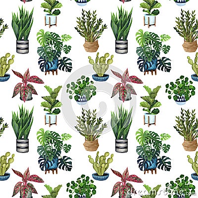 Indoor plant watercolor seamless pattern. Home plants, fig tree, ZZ Plant Zamioculcas, Snake Plant Sansevieria, Fiddle Leaf Stock Photo