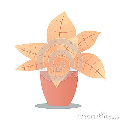 Indoor plants flat color illustration. Realistic houseplant in beige pot on metal stands. Exotic flowers with stems and leaves. Cartoon Illustration