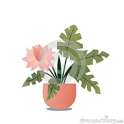 Indoor plants flat color illustration. Realistic houseplant in beige pot on metal stands. Exotic flowers with stems and leaves. Cartoon Illustration