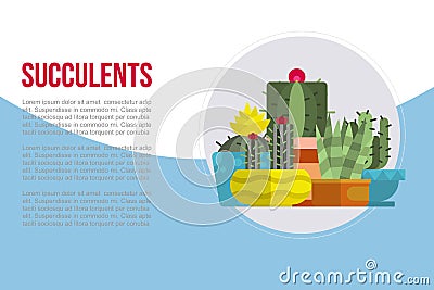 Indoor plants, succulents rosettes varieties including pin cushion cactus realistic collection vector illustration Vector Illustration